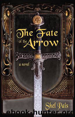 The Fate of the Arrow by Shel Pais
