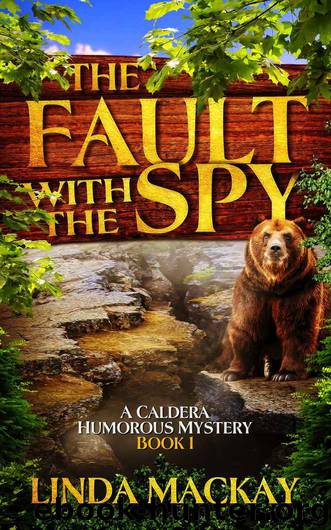The Fault With The Spy by Linda Mackay