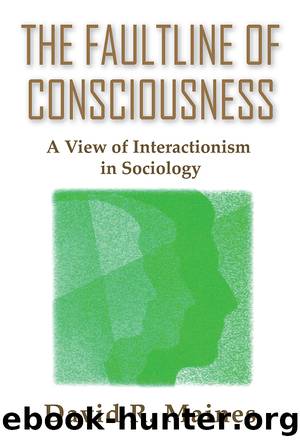 The Faultline of Consciousness by David Maines