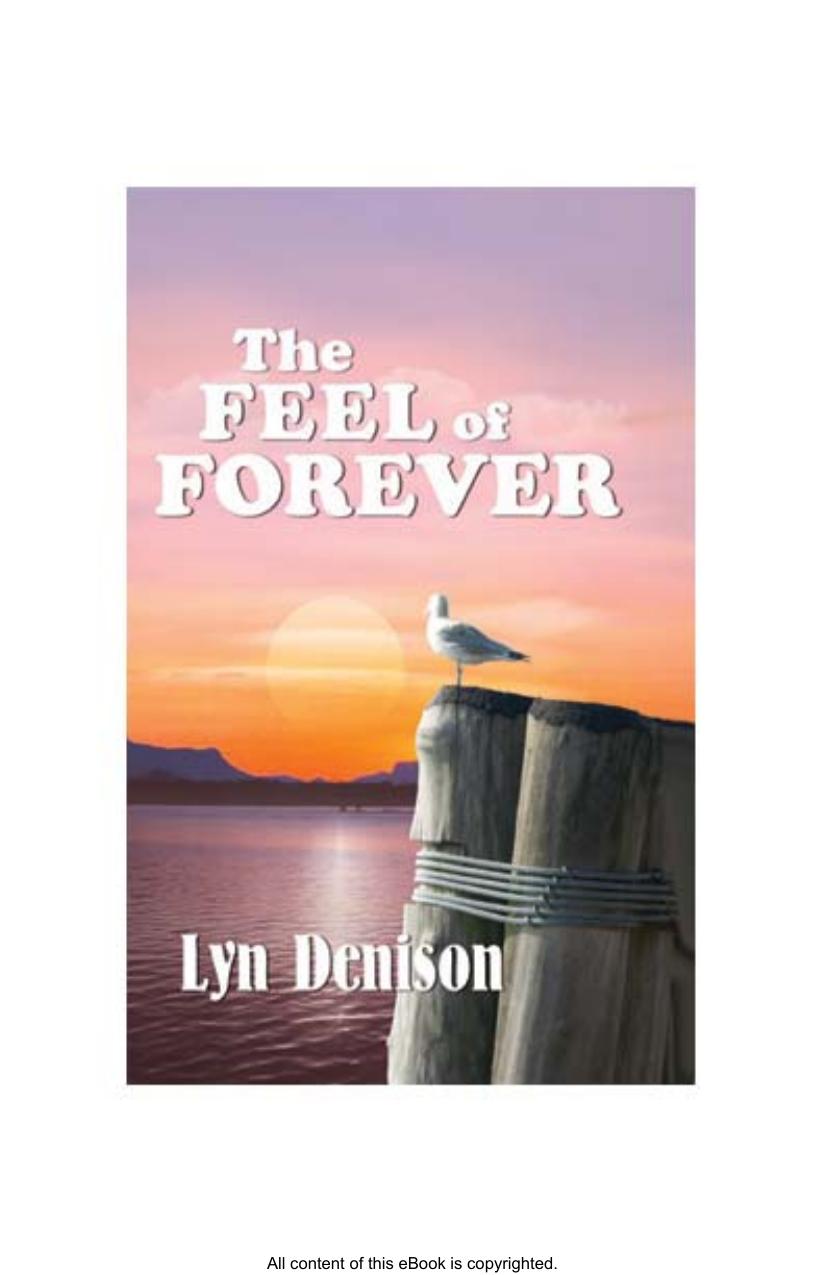 The Feel of Forever by Lyn Denison