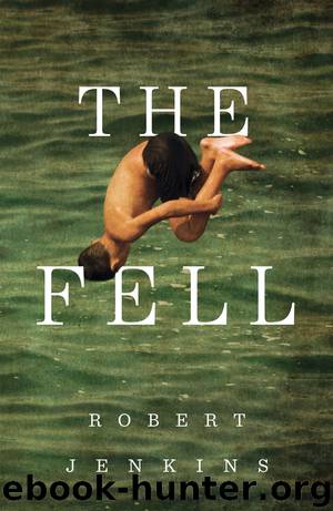 The Fell by Robert Jenkins