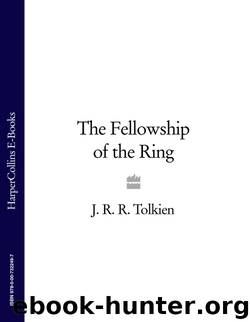 The Fellowship of the Ring (The Lord of the Ring, #1) by J.R.R. Tolkien