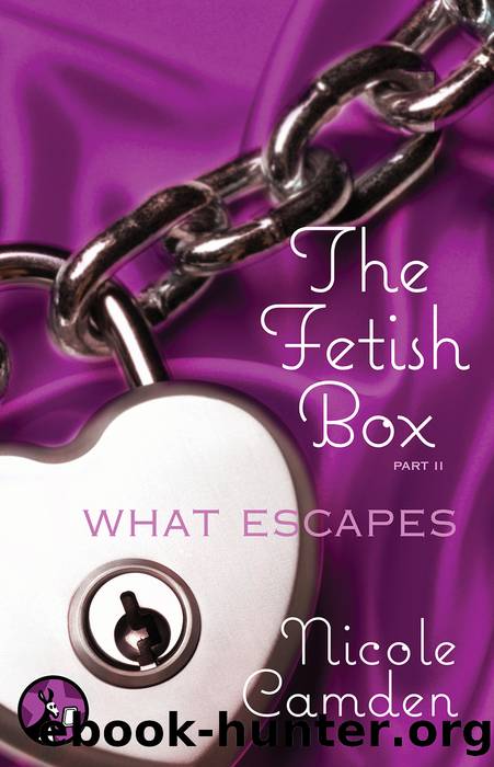 The Fetish Box, Part Two by Nicole Camden