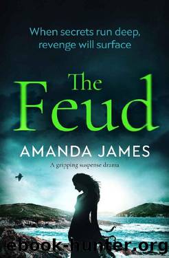 The Feud: a gripping suspense drama by Amanda James