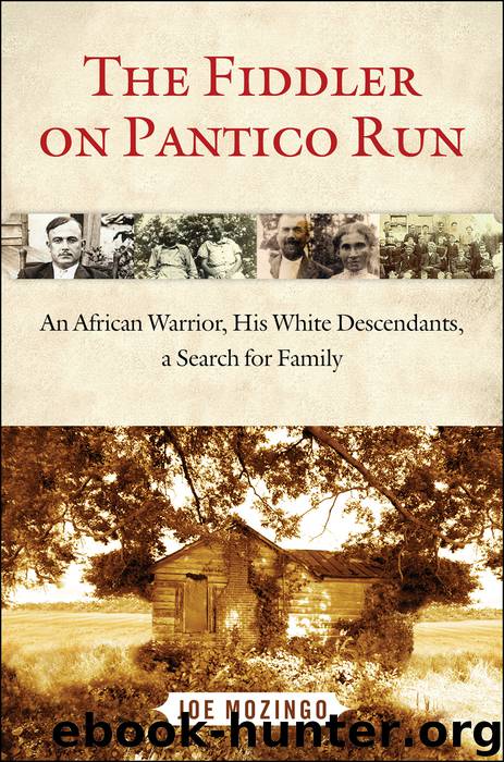 The Fiddler on Pantico Run by Joe Mozingo