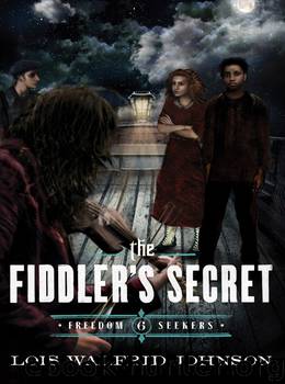 The Fiddler's Secret by Lois Walfrid Johnson