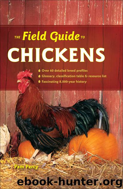 The Field Guide to Chickens by Pam Percy
