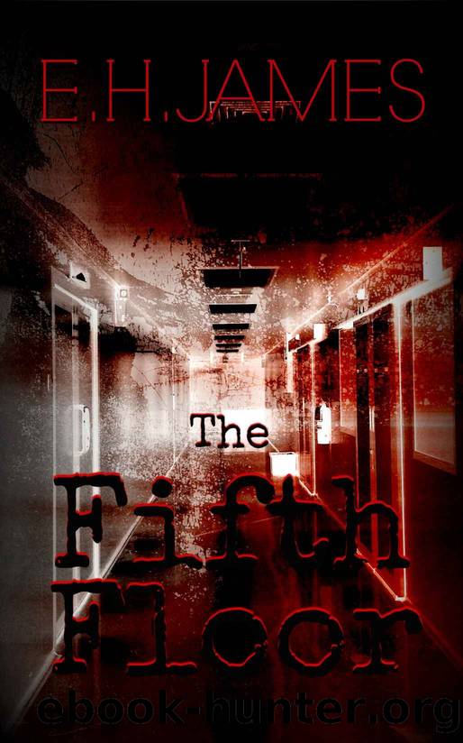 The Fifth Floor by E.H. James