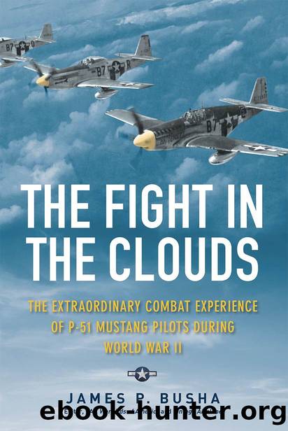 The Fight in the Clouds: The Extraordinary Combat Experience of P-51 Mustang Pilots During World War II by James P. Busha