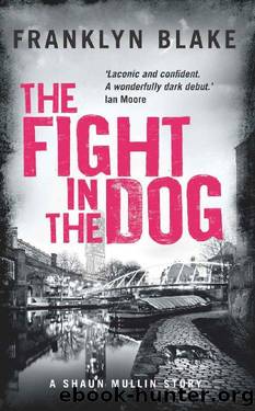 The Fight in the Dog: BOOK ONE in the Shaun Mullin Series by Franklyn Blake