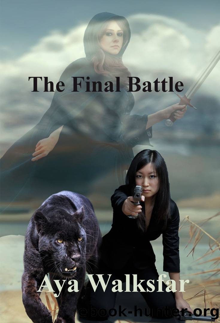 The Final Battle by Aya Walksfar