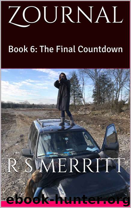 The Final Countdown by R. S. Merritt