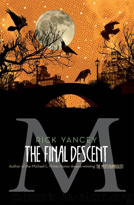 The Final Descent by Rick Yancey
