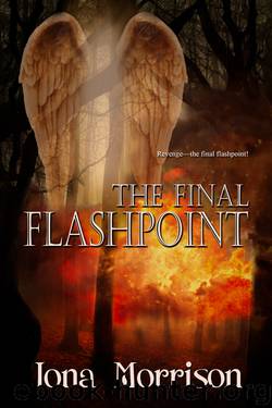 The Final Flashpoint by Iona Morrison