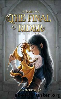 The Final Rider by Elyzabeth Trickey