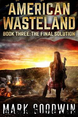 The Final Solution: A Post-Apocalyptic Tale of America's Impending Demise (American Wasteland Book 3) by Mark Goodwin