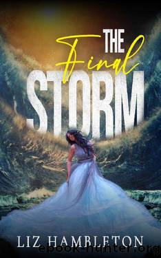 The Final Storm (The Storm Series Book 2) by Liz Hambleton