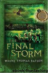 The Final Storm by Wayne Batson