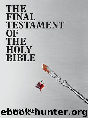 The Final Testament of the Holy Bible by James Frey