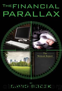 The Financial Parallax by David Bocek