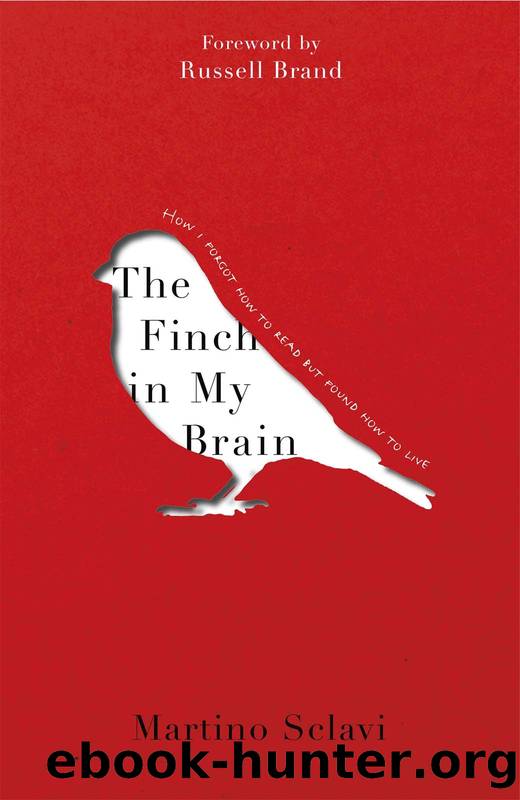 The Finch in My Brain by Martino Sclavi