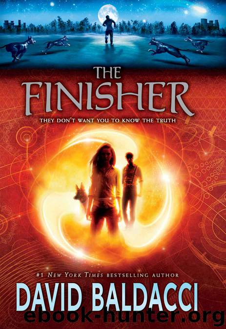 The Finisher by Baldacci David