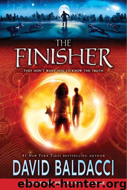 The Finisher by david baldacci