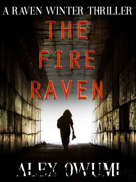 The Fire Raven by Owumi Alex