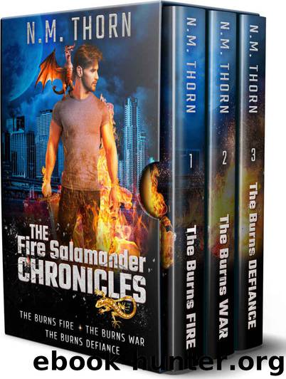 The Fire Salamander Chronicles Series: Books 1 - 3: The Fire Salamander Chronicles Series Boxset Book 1 by N.M. Thorn