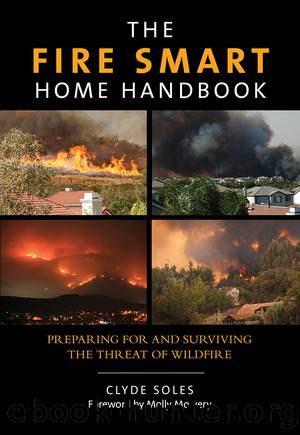 The Fire Smart Home Handbook by Clyde Soles