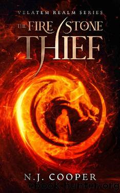 The Fire Stone Thief (Velatem Realm Series) by N.J. Cooper