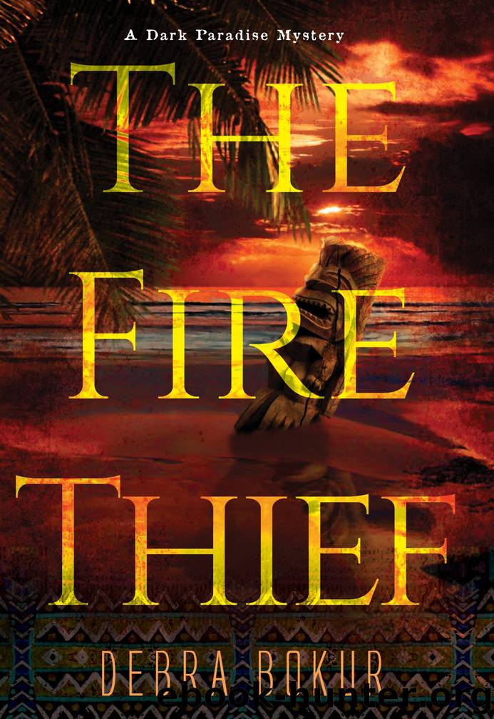 The Fire Thief by Debra Bokur