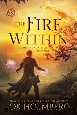 The Fire Within by D. K. Holmberg