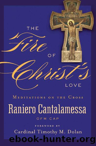 The Fire of Christ's Love: Meditations on the Cross by Raniero Cantalamessa