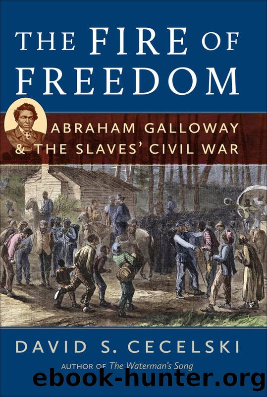 The Fire of Freedom by David S. Cecelski