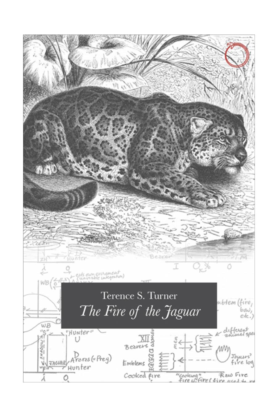 The Fire of the Jaguar by Terence S. Turner