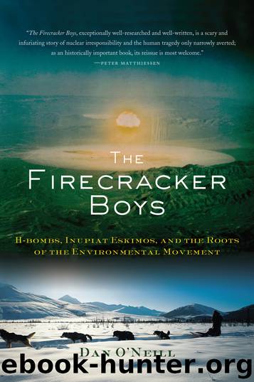 The Firecracker Boys by Dan O'Neill