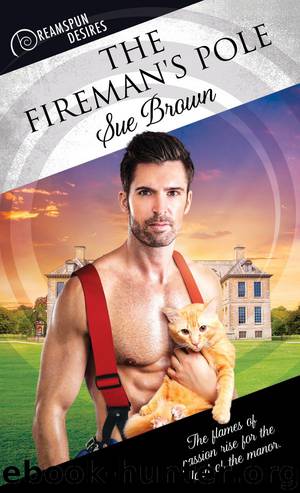 The Fireman's Pole by Sue Brown