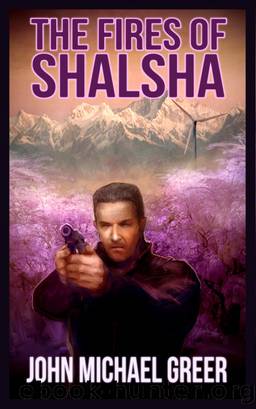 The Fires of Shalsha by John Michael Greer