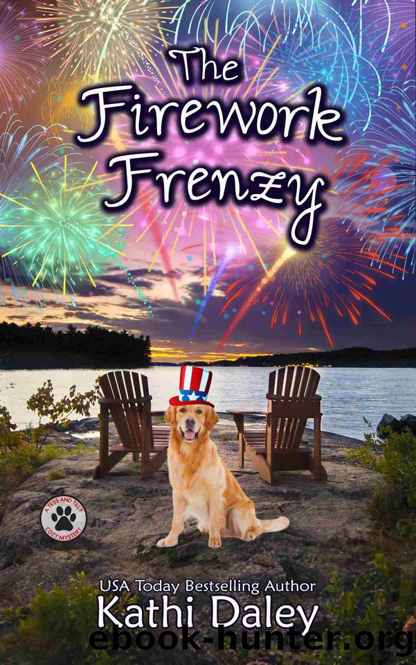 The Firework Frenzy: A Cozy Mystery (A Tess and Tilly Cozy Mystery Book 17) by Kathi Daley