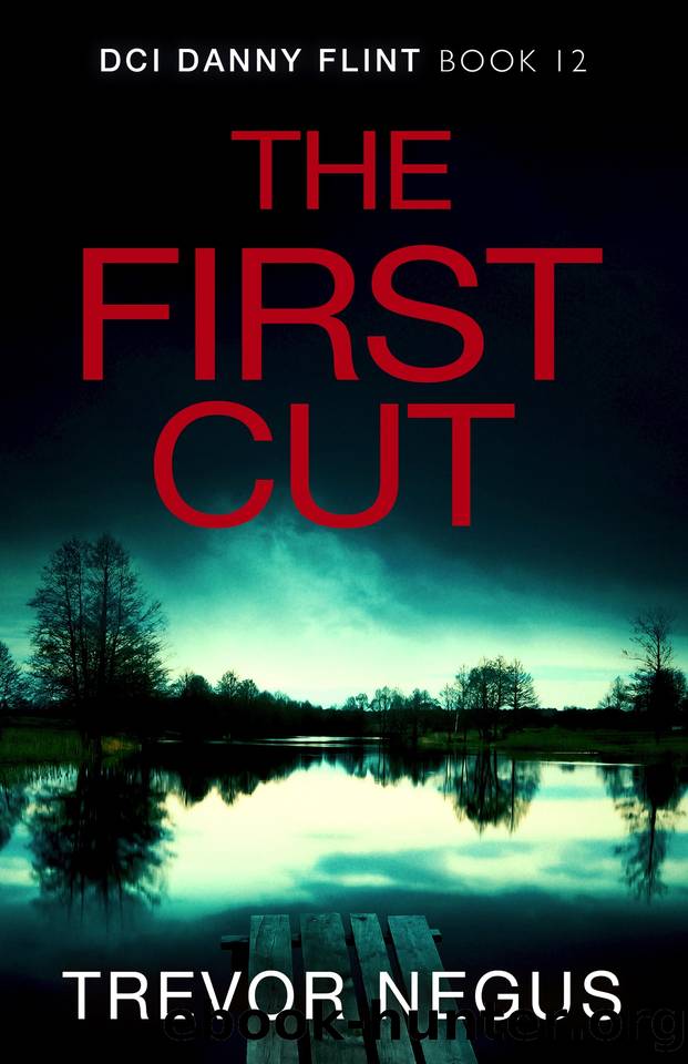 The First Cut (DCI Danny Flint Book 12) by Trevor Negus
