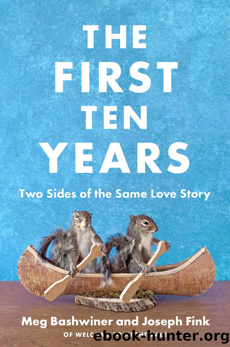 The First Ten Years by Joseph Fink