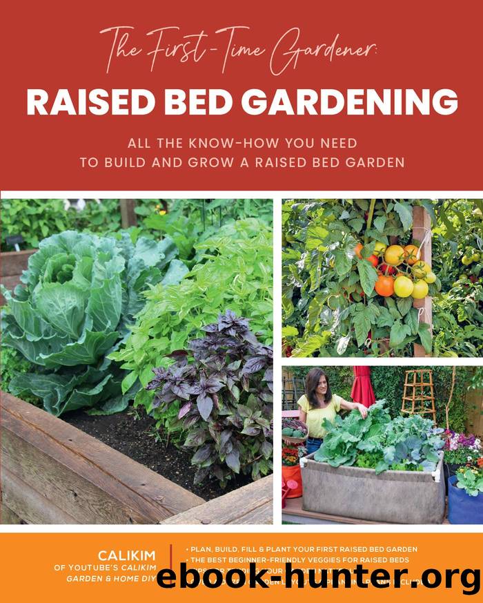 The First-Time Gardener: Raised Bed Gardening by CaliKim