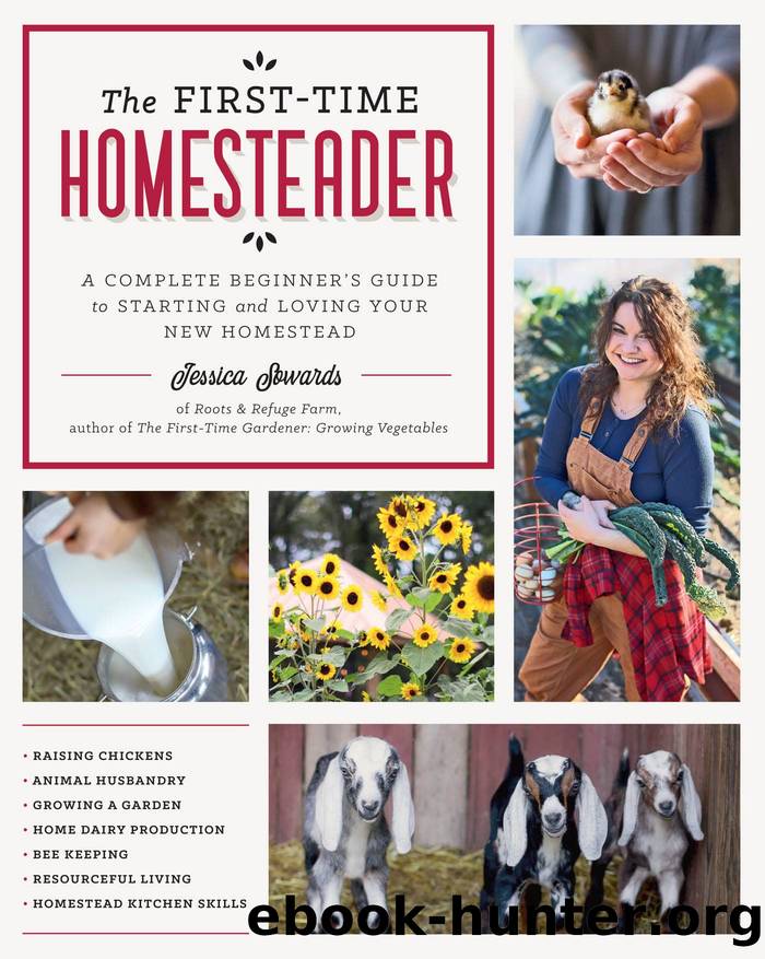 The First-Time Homesteader by Sowards Jessica;