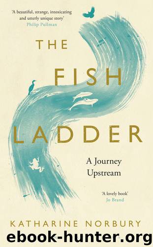 The Fish Ladder by Katharine Norbury