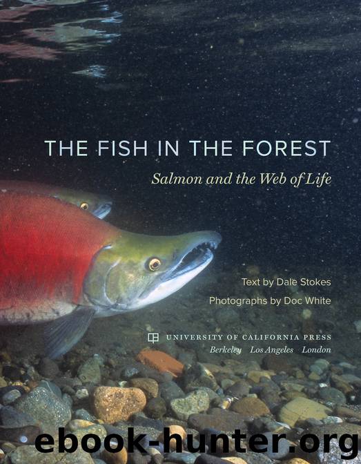 The Fish in the Forest by Dale Stokes