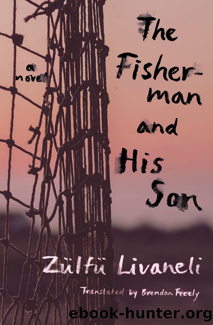 The Fisherman and His Son by Zülfü Livaneli