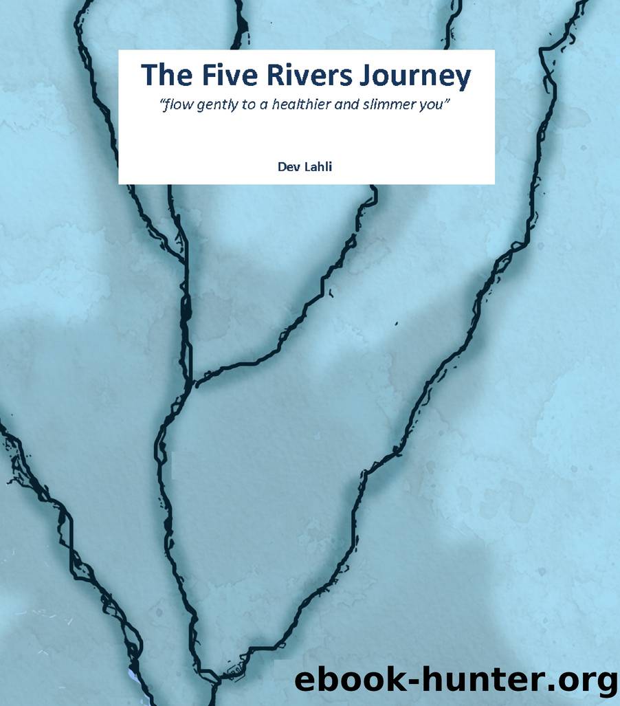 The Five Rivers Journey by Dev Lahli