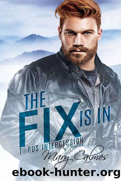 The Fix Is In: Torus Intercession Book Four by Mary Calmes