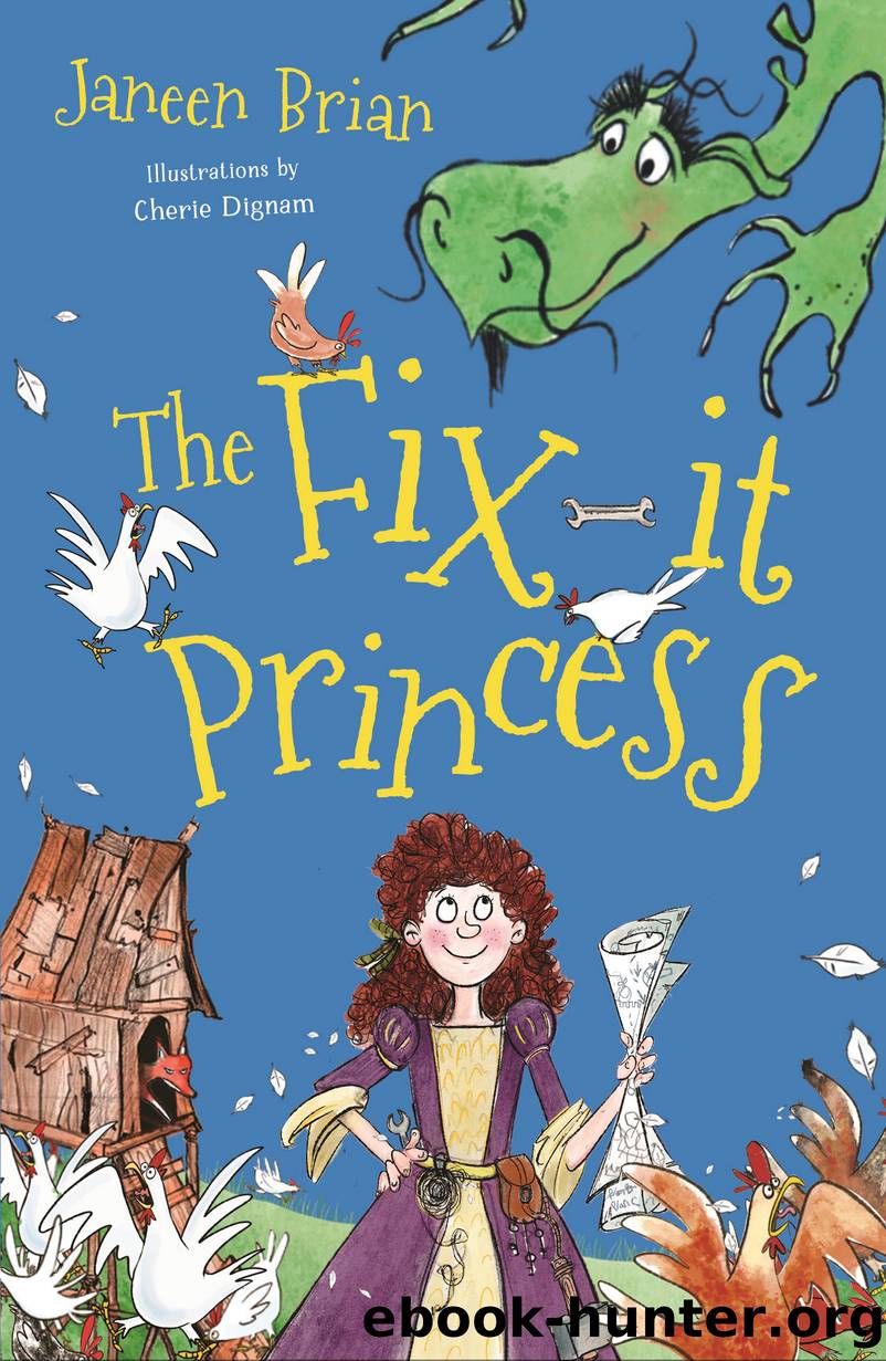 The Fix-it Princess by Janeen Brian